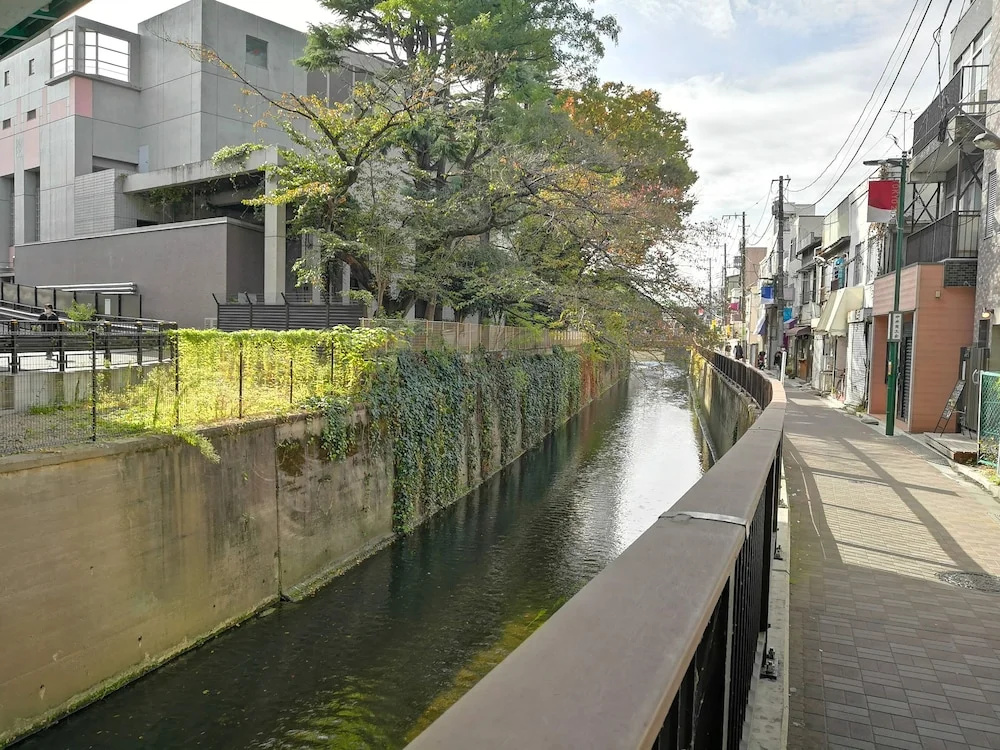 Kyonichi Hotel Shinjuku 사진 12