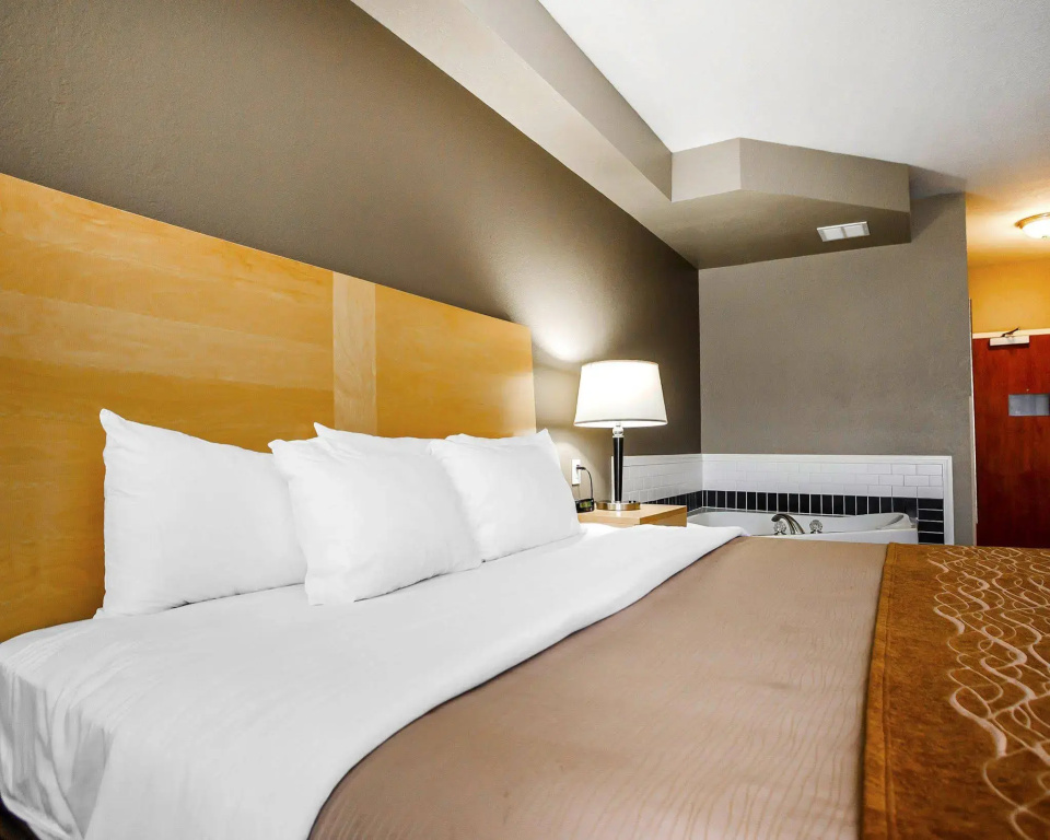 Comfort Inn Kansas City / Airport - Général