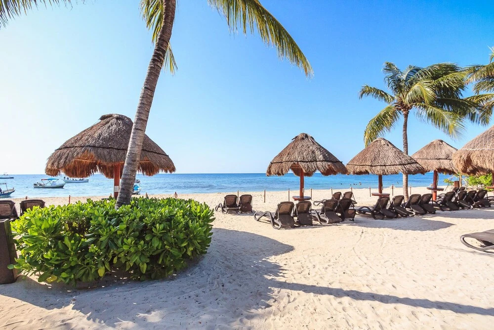 Beach & Waterfront