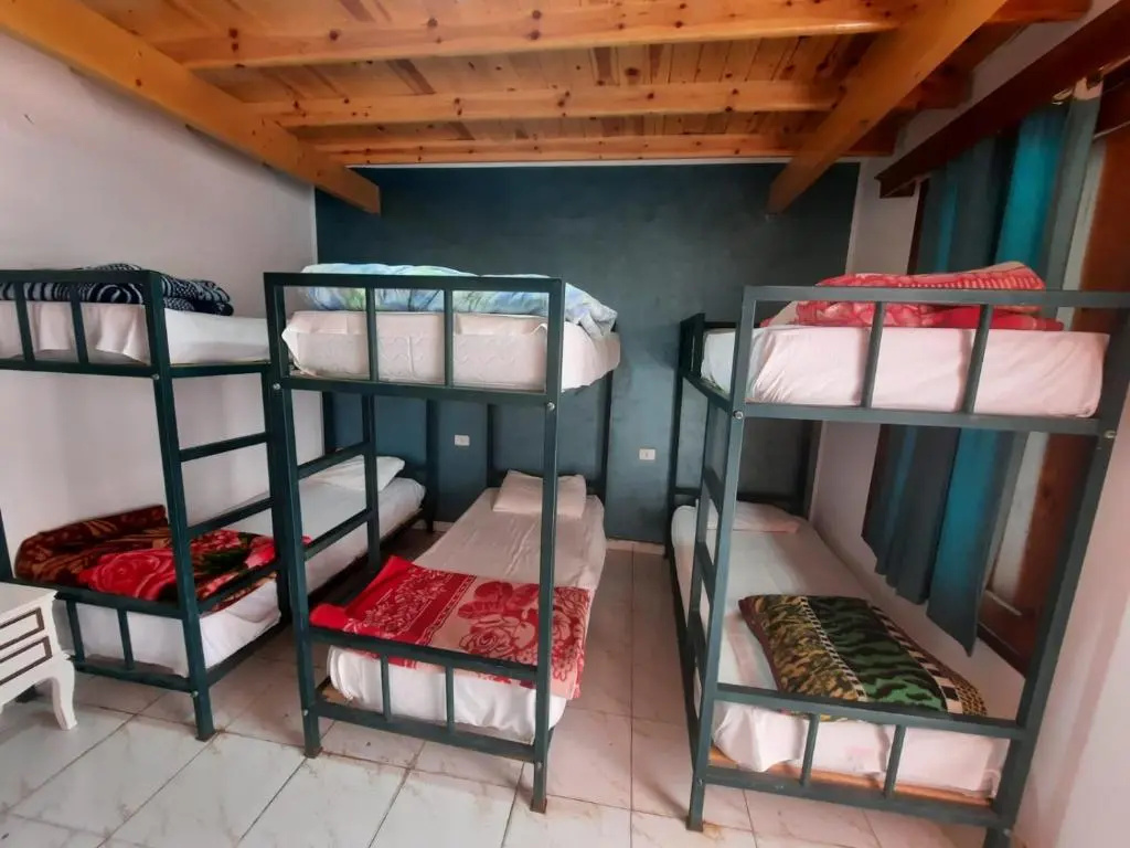 Octopus Resort - Chambres