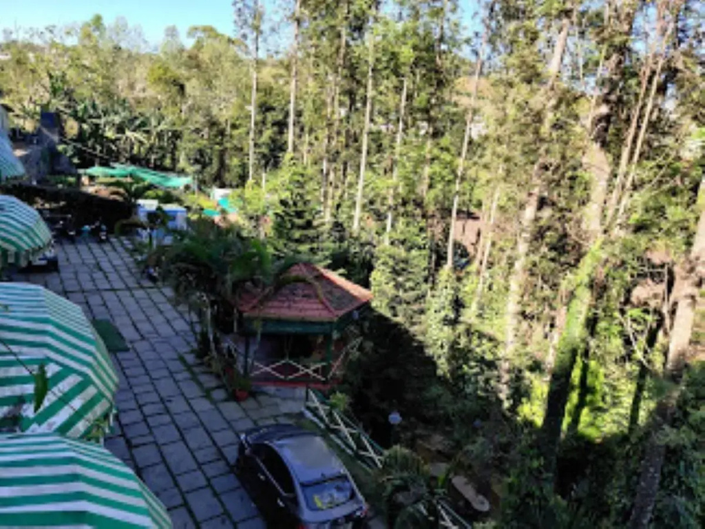 Happy Nest Resort - фото 8