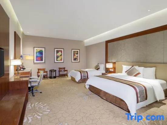 Tangram Hotel Harbin - Chambres