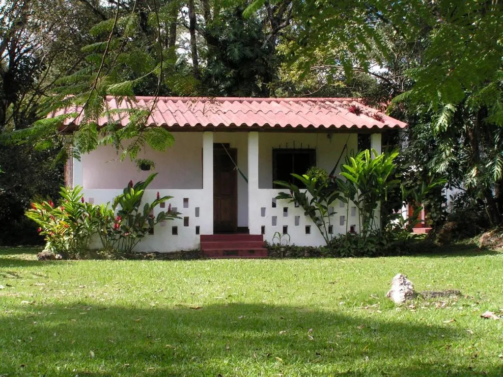 Deluxe Double room with garden view (full double bed)