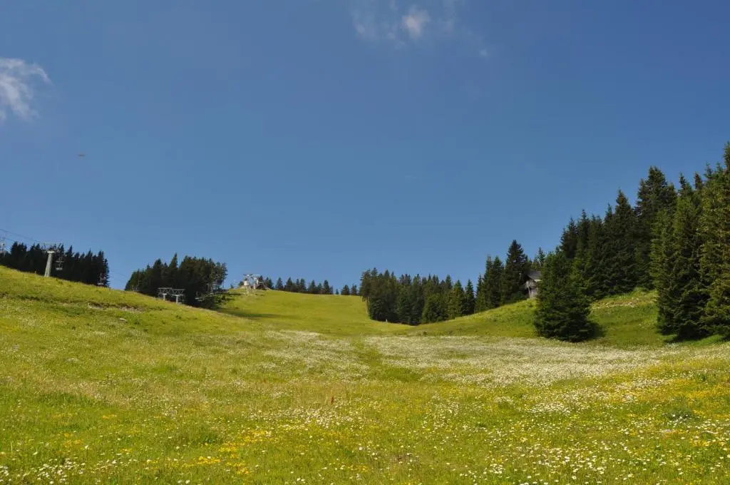 Apartment MOUNTAIN PARADISE Golte
