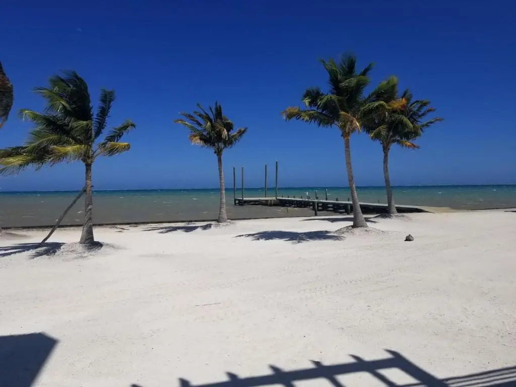 Apartment beachfront