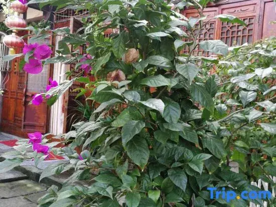 Zhengjia Hostel