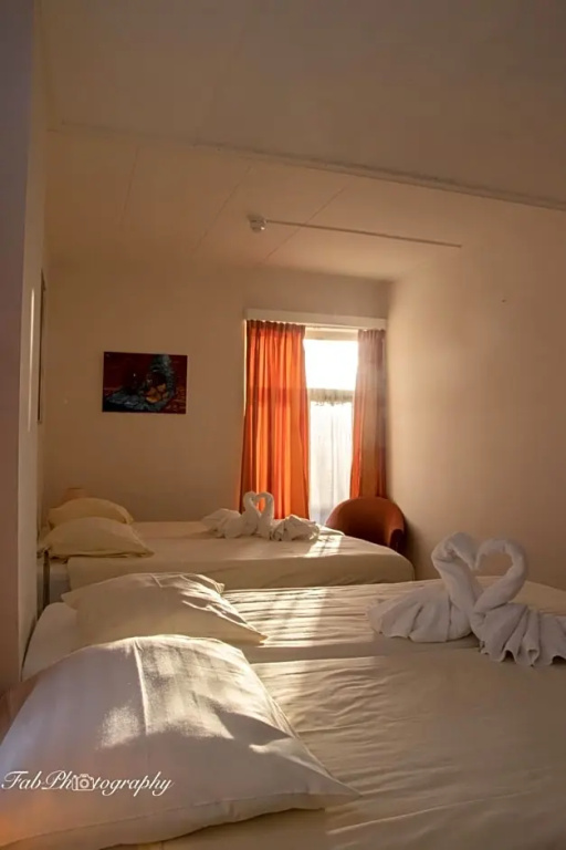 Hotel 2000 - Chambres