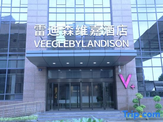 Veegle By Landison Ningbo