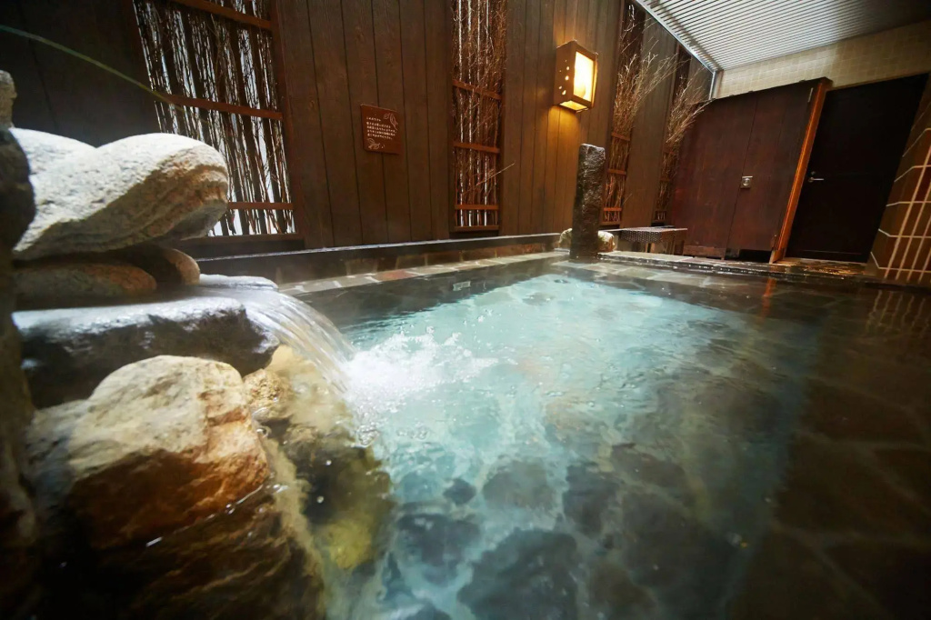 Dormy Inn Premium Nagoya Sakae Natural Hot Spring - Général