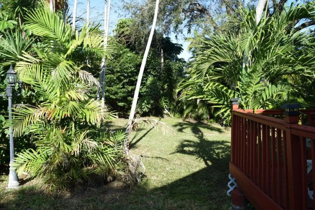 Home In The Heart Of Miami