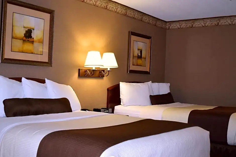 Standard Double room with pool view (full double bed)