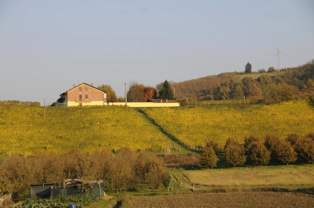 Cascina With Swimming Pool