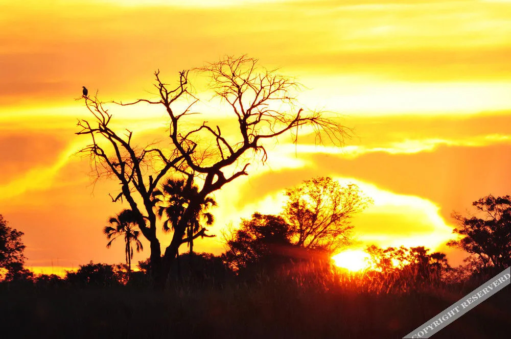 Sanctuary Baines’ Camp