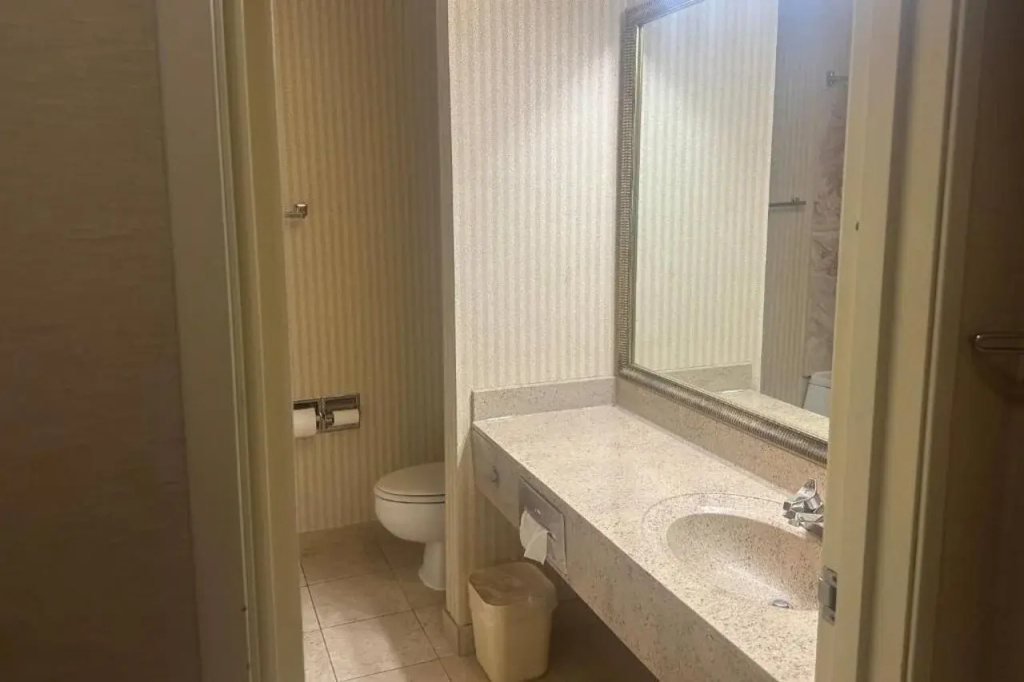 Wingate by Wyndham Livonia - Général