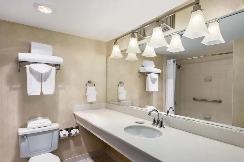 Holiday Inn Select North Dallas - Chambres