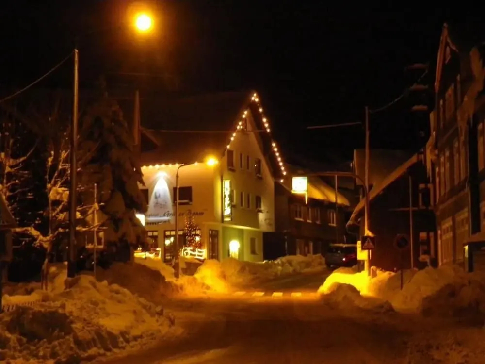 Rennsteighotel Gruner Baum