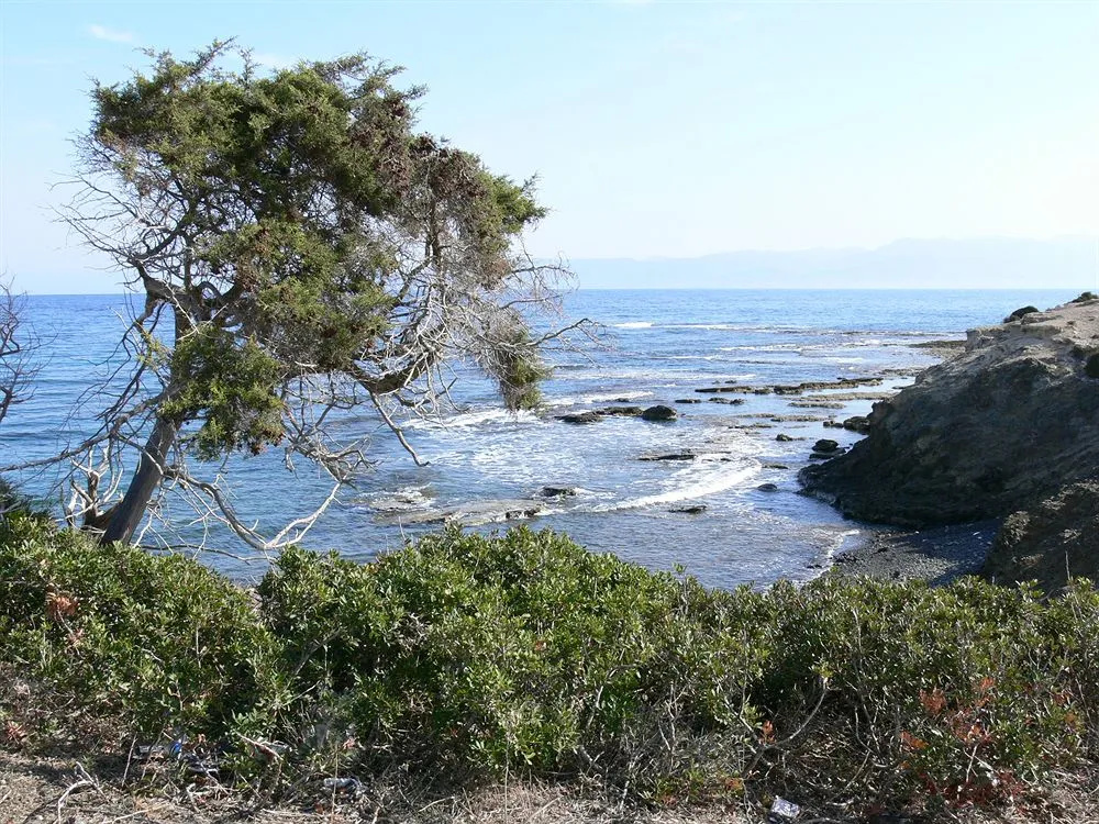 Beach & Waterfront