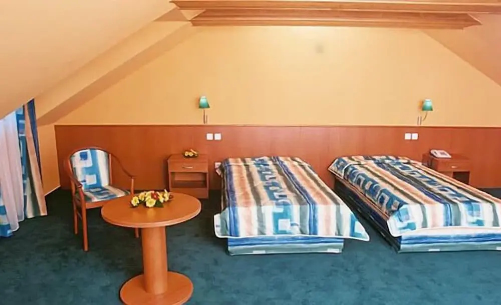 Hotel Dvořák - Chambres