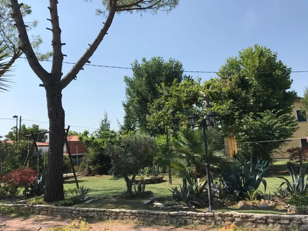 Casa Algisa - Chambres