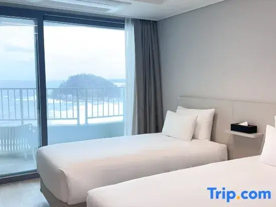 Deluxe Double room with partial ocean view (twin beds)