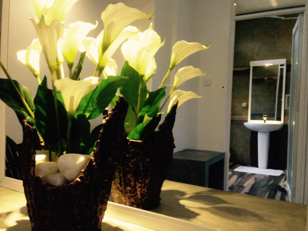 Superior Double room with city view (full double bed)