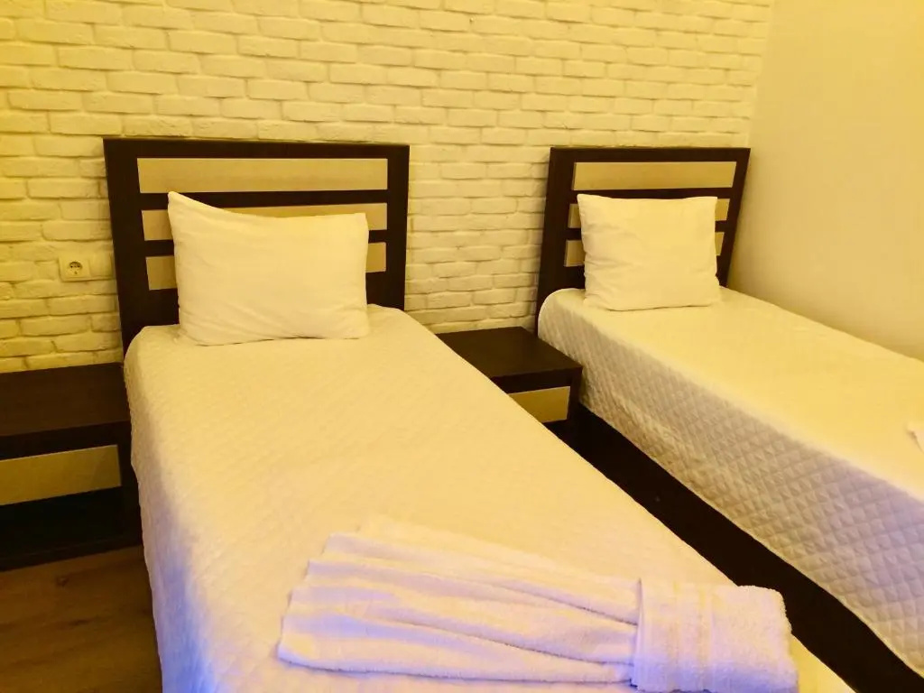 Standard Double room (twin beds)