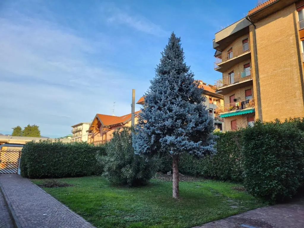 Apartment with garden view