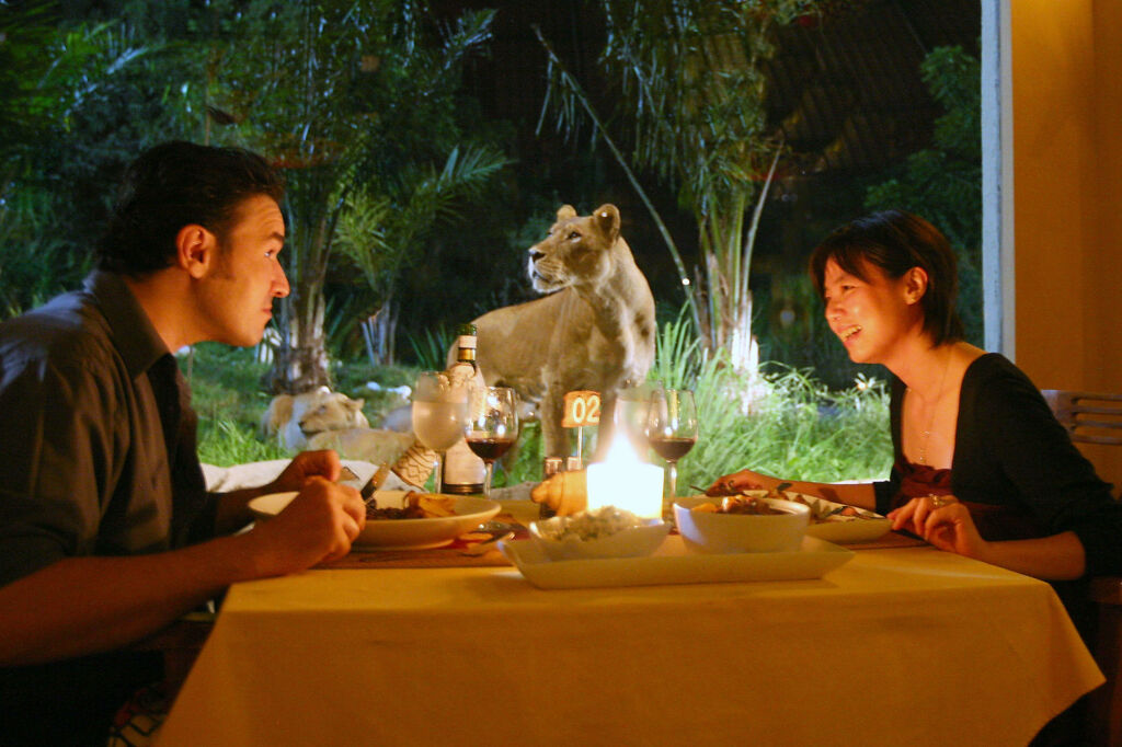 Mara River Safari Lodge Bali