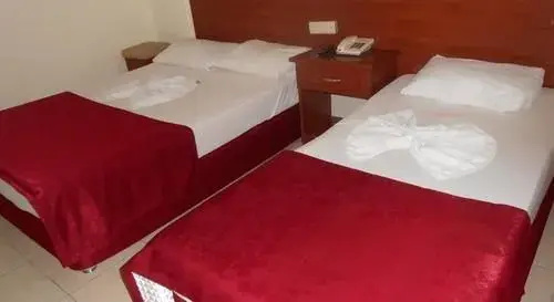 Alanya Demir Hotel - Général