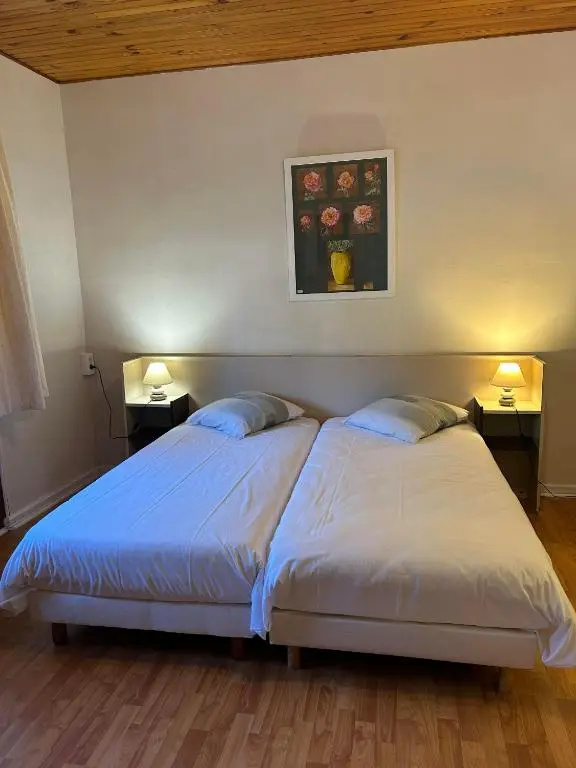 Standard Double room (twin beds)