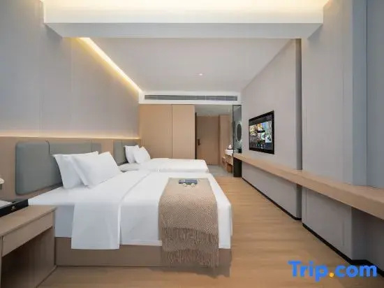 Comfort Double room (twin beds)