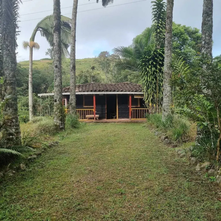 Cabañas El Paraiso En Filandia