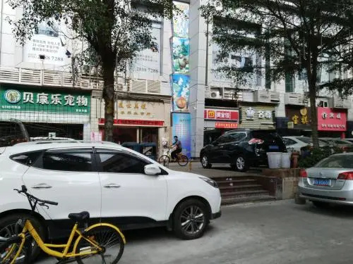 Shenzhen 8090 International Youth East Stat