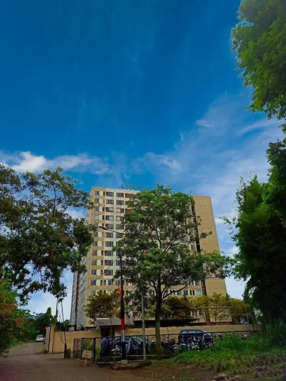 thrive hotelindo — фото 6