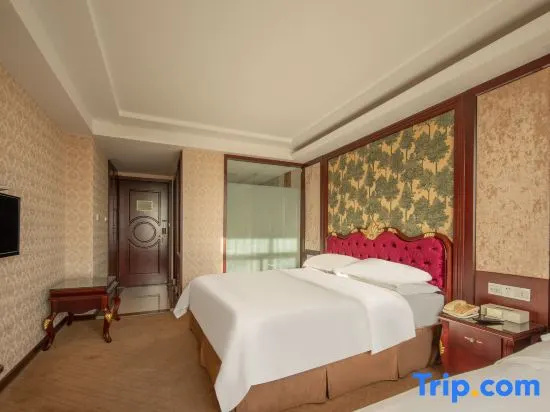 Vienna Hotel Shanghai Pudong Airport Chuansha Branch - Chambres