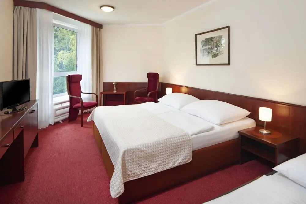 Wellness hotel Svornost - Chambres