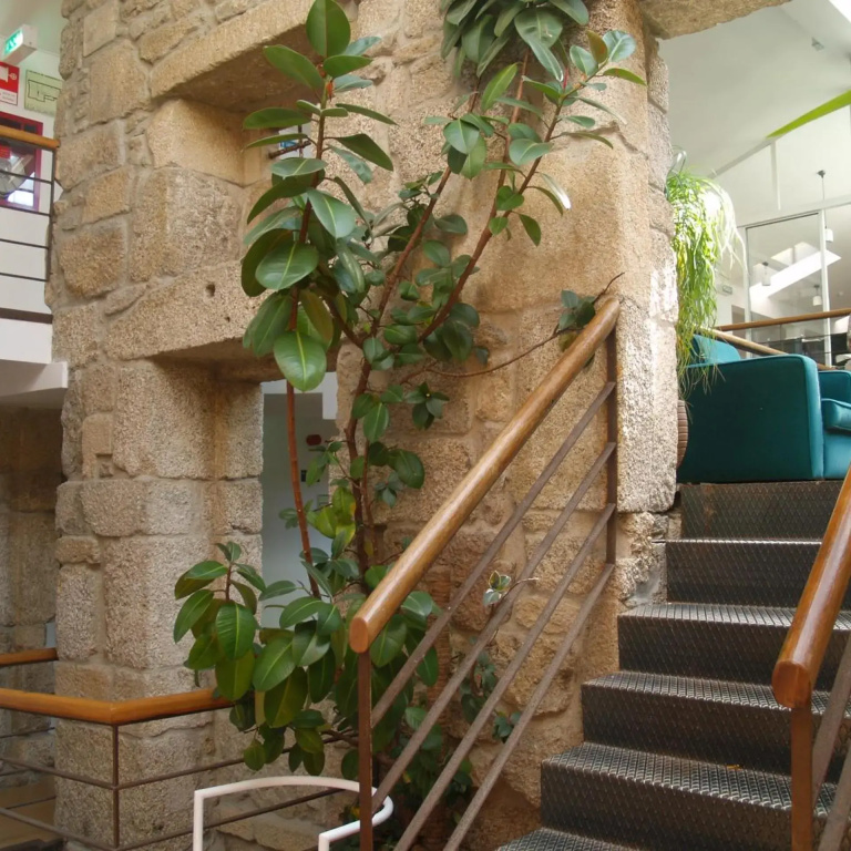 Hotel photo 30