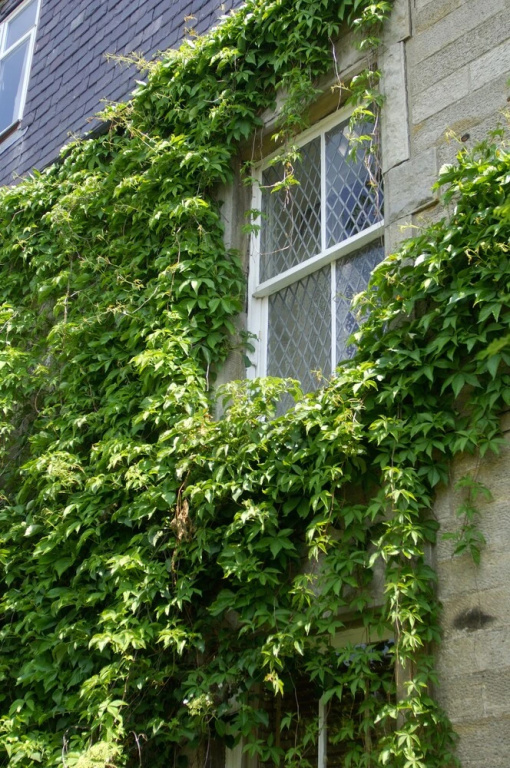 Traquair Arms Hotel