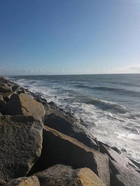 Voir la photo 4 — Le Grand Orient