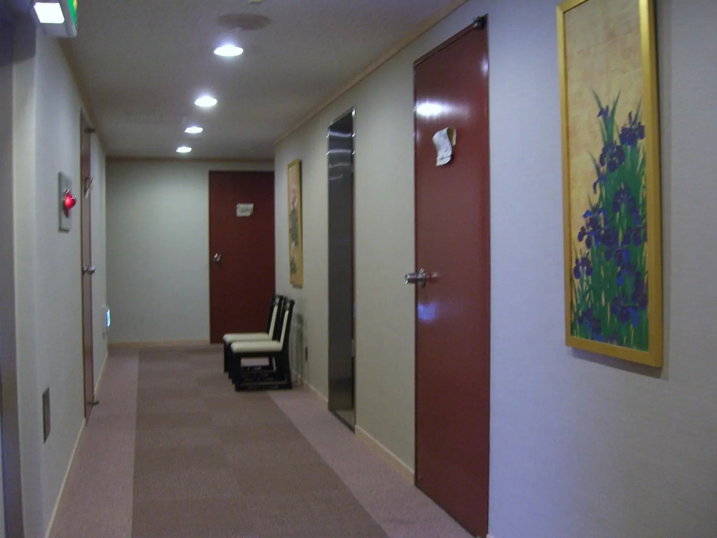 Kaminarimon Ryokan - Général