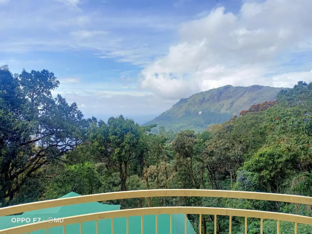 Standard room with mountain view