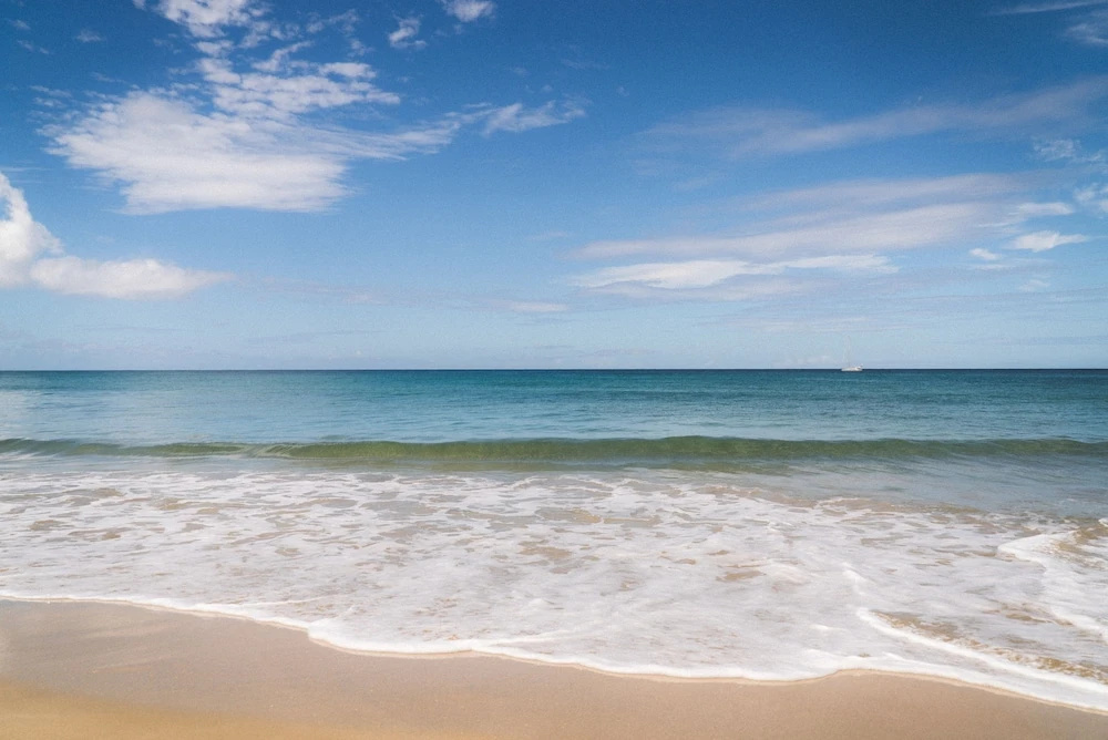 Beach & Waterfront