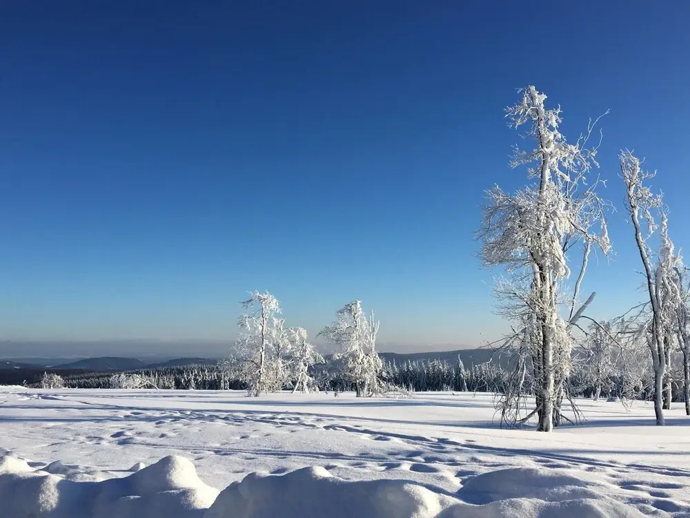 Apartment in Winterberg Near Ski Lift & Sauna