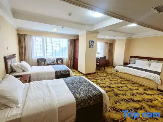 Dalian International Airport Hotel - Chambres