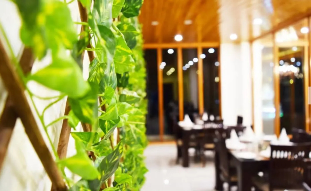 Serenity Resort & Spa by DLS Hotels - Général