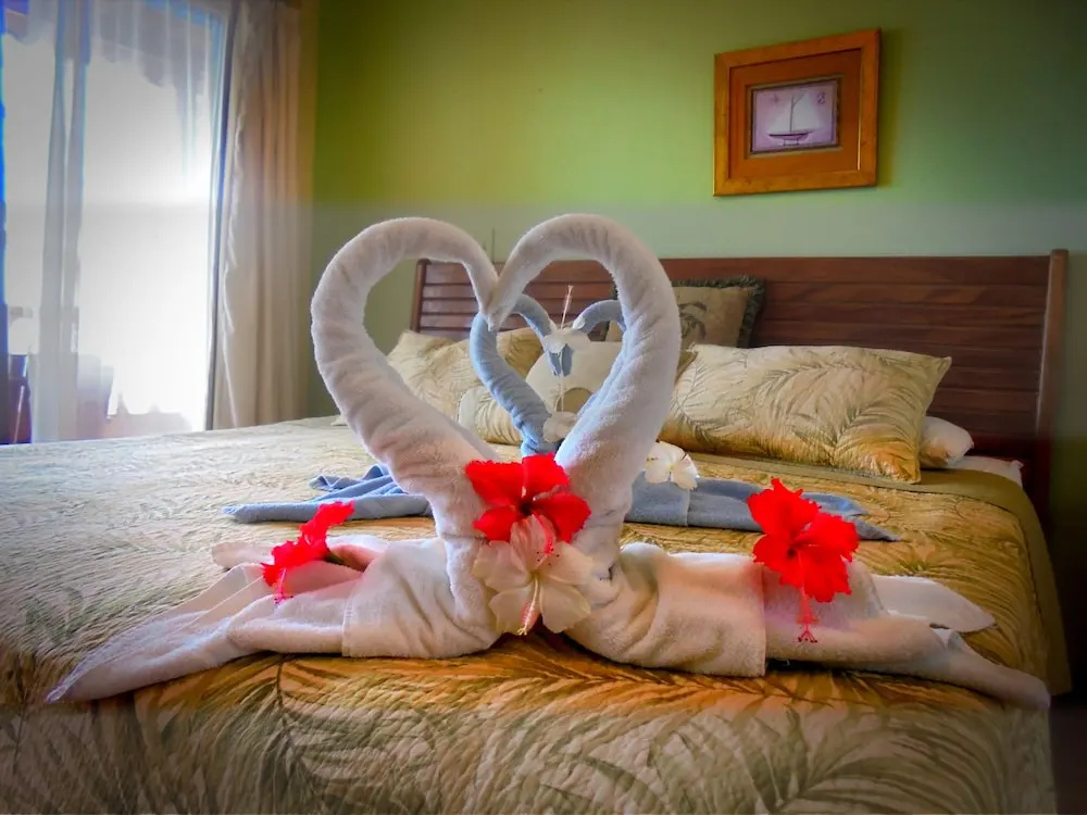 Hotel Delfin Playa Bejuco - Chambres