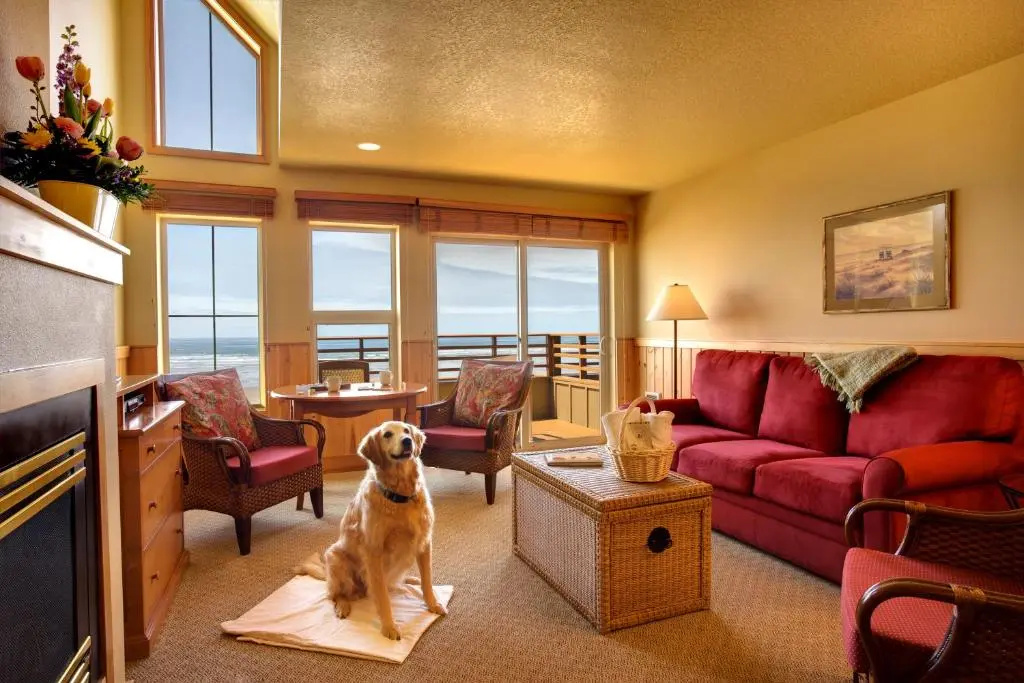 The Ocean Lodge - Chambres