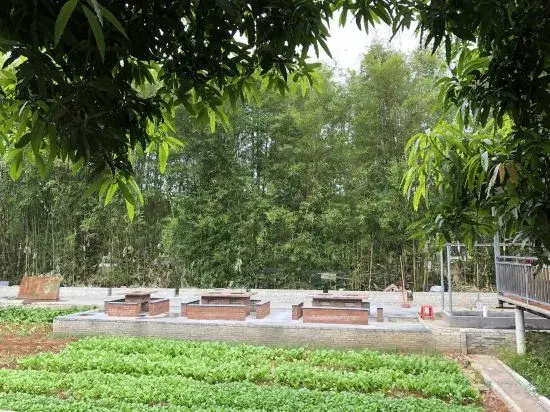 Jindaoxiang Hostel