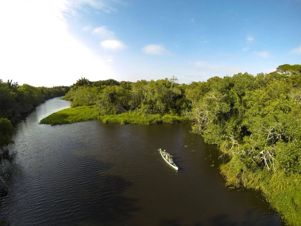 Kosi Forest Lodge by null