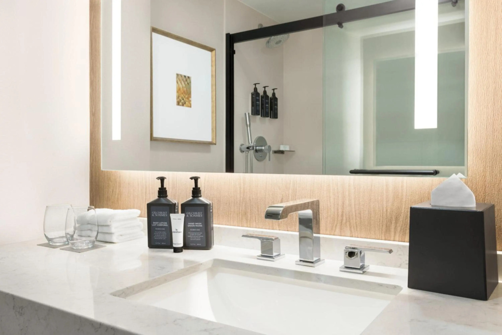 Sheraton Suites Chicago O'Hare - Général